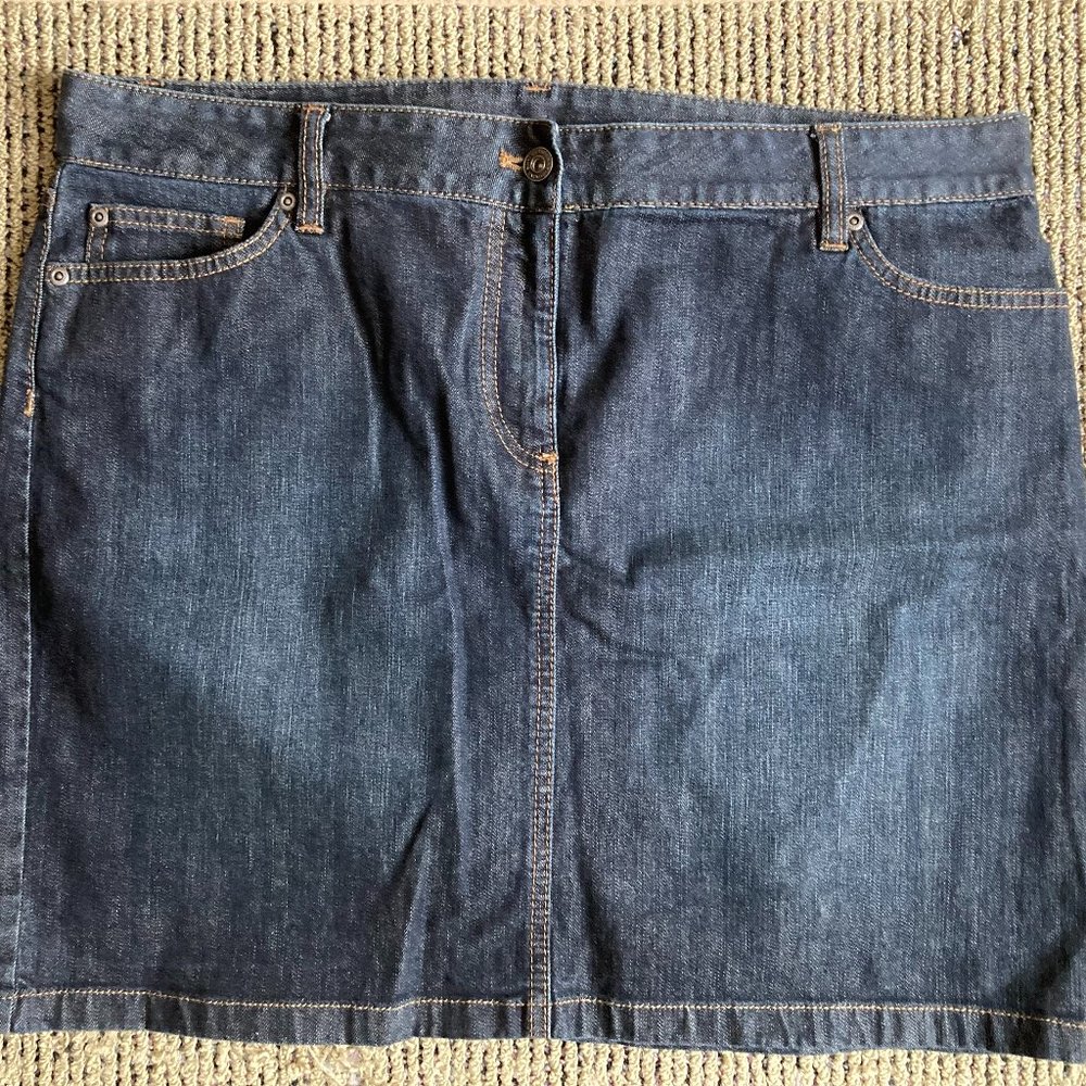 Ann Taylor skirt, 14